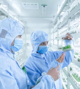 国产麻豆文化传媒精品一区技术