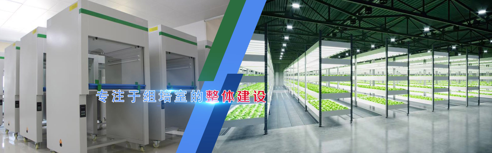 国产麻豆文化传媒精品一区、国产麻豆文化传媒精品一区架