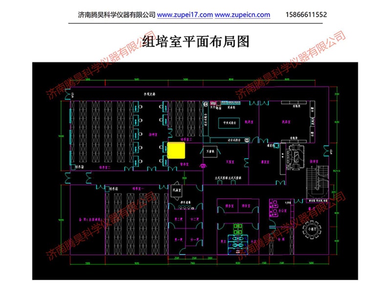 国产麻豆文化传媒精品一区室