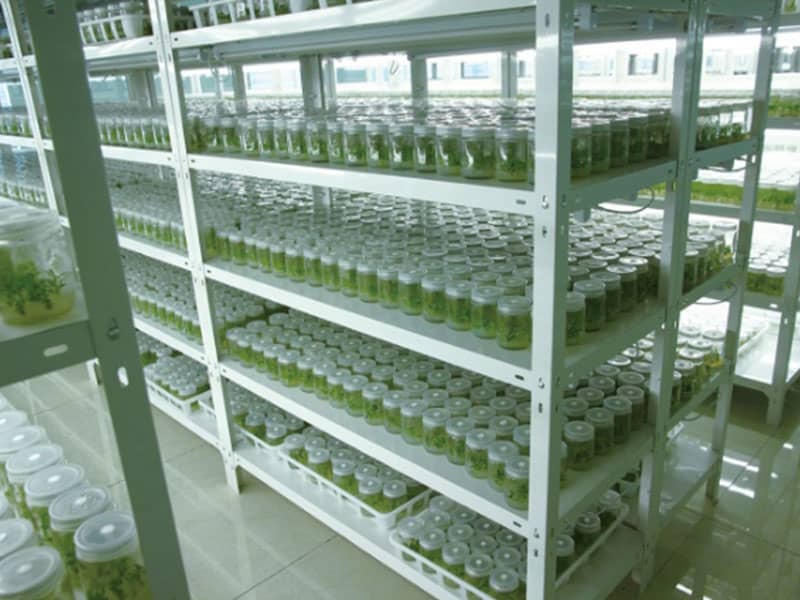 国产麻豆文化传媒精品一区  国产麻豆文化传媒精品一区架