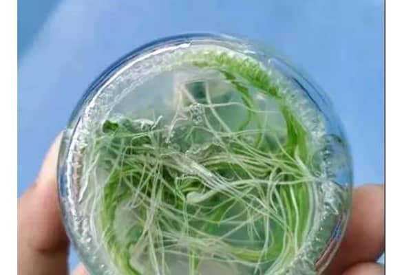 国产麻豆文化传媒精品一区室的管理与使用