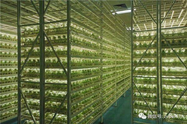 国产麻豆文化传媒精品一区仪器设备